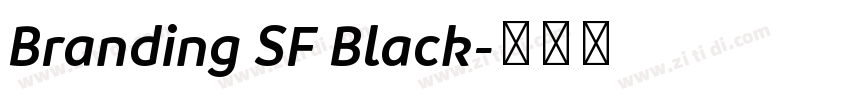 Branding SF Black字体转换